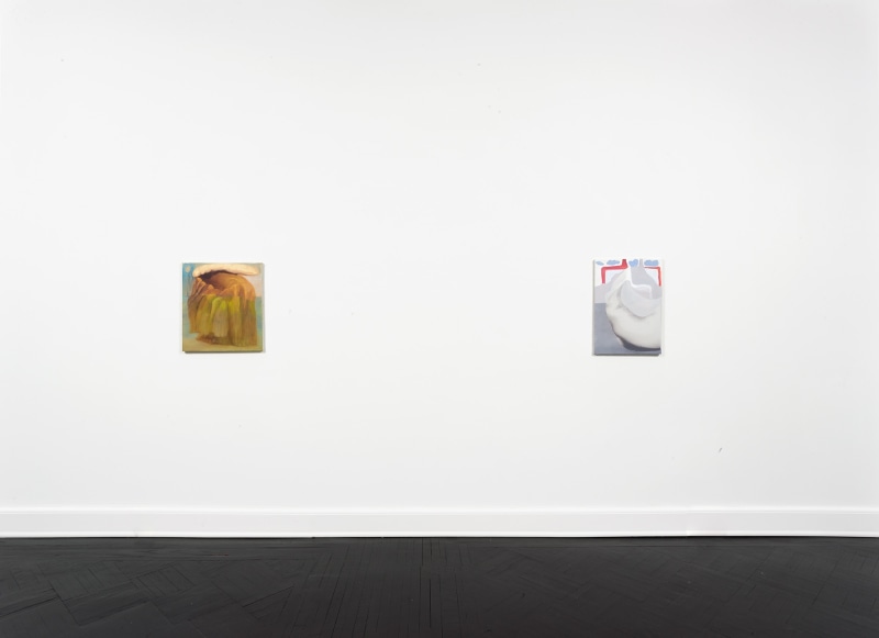 Installation view, Rezi van Lankveld, Soft Sun, Petzel, 2022