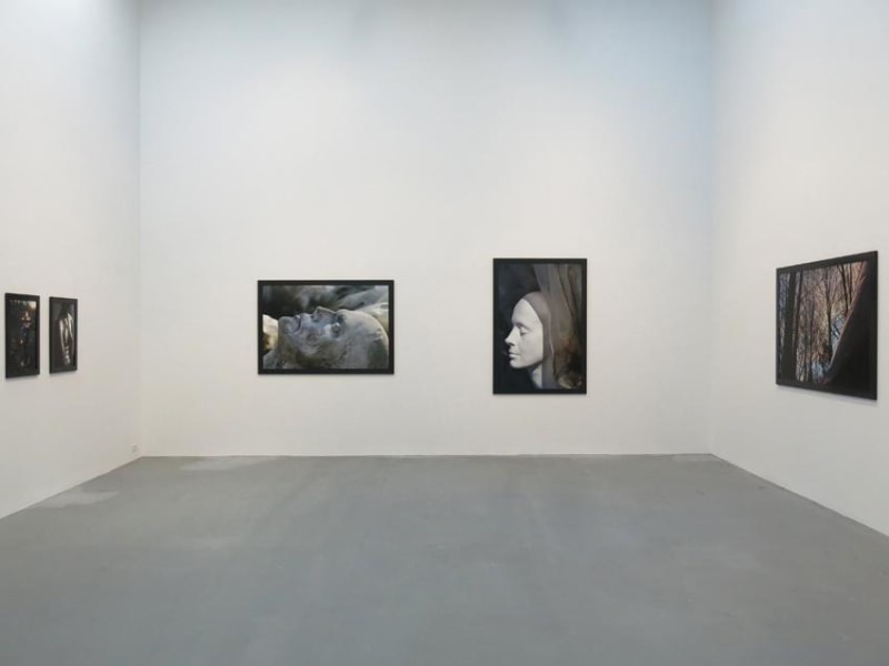 Dana Hoey Installation view 7