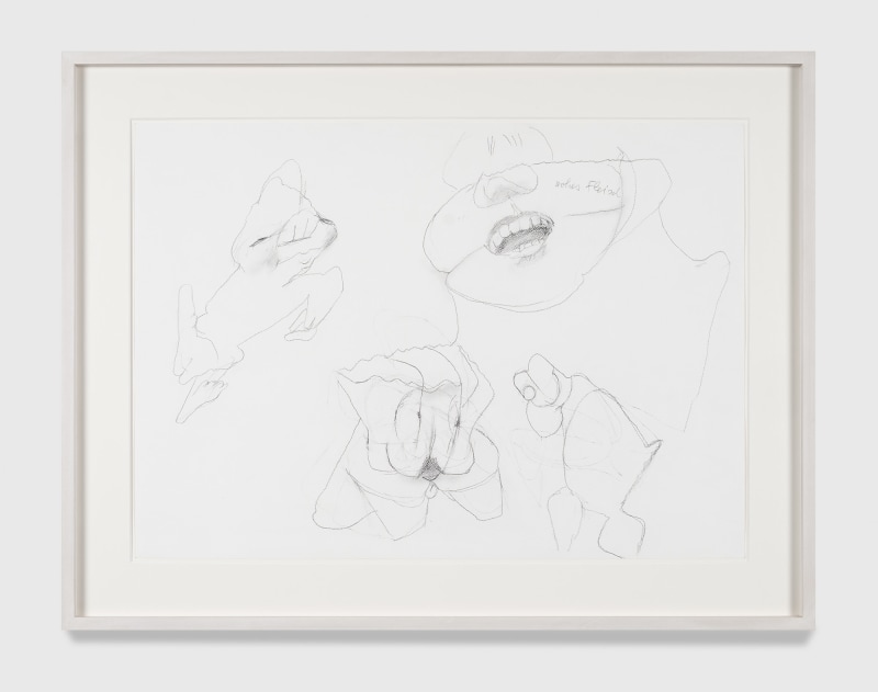 Maria Lassnig, Untitled