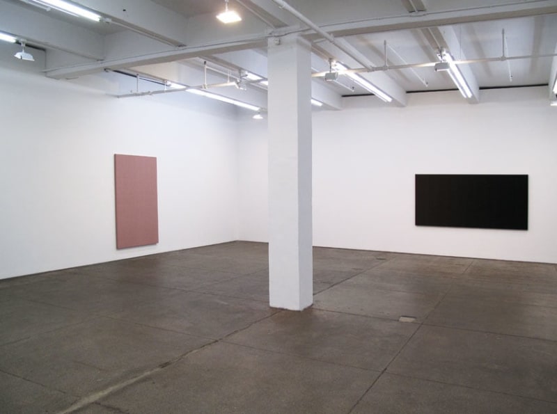 Installation view Friedrich Petzel Gallery