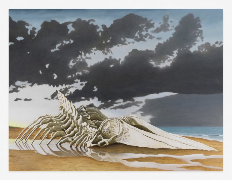 Sean Landers, Sperm Whale Skeleton II