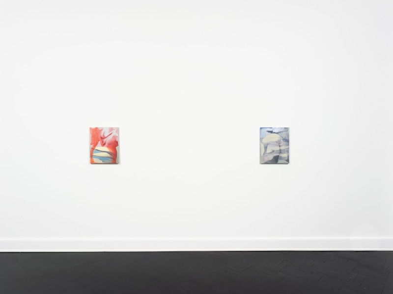 Installation view, Rezi van Lankveld, Soft Sun, Petzel, 2022