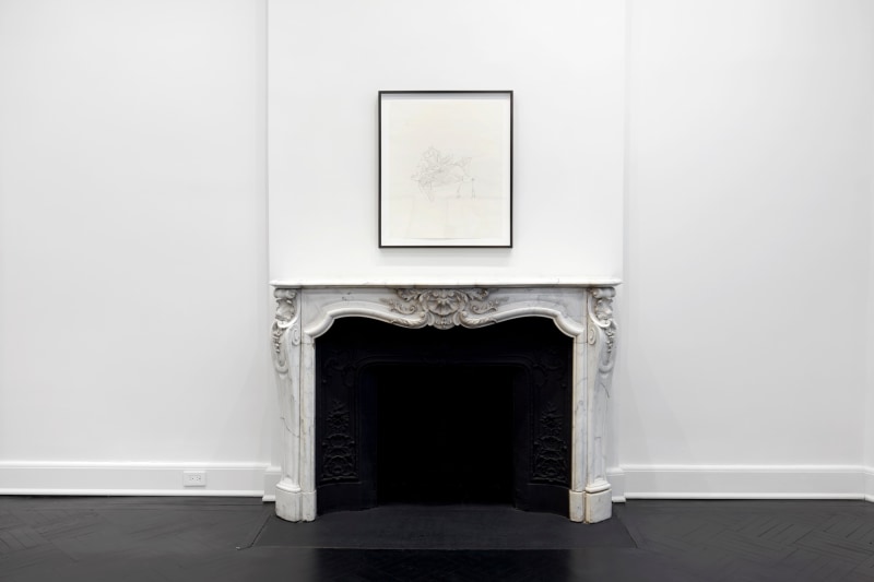 Works on Paper, Installation view