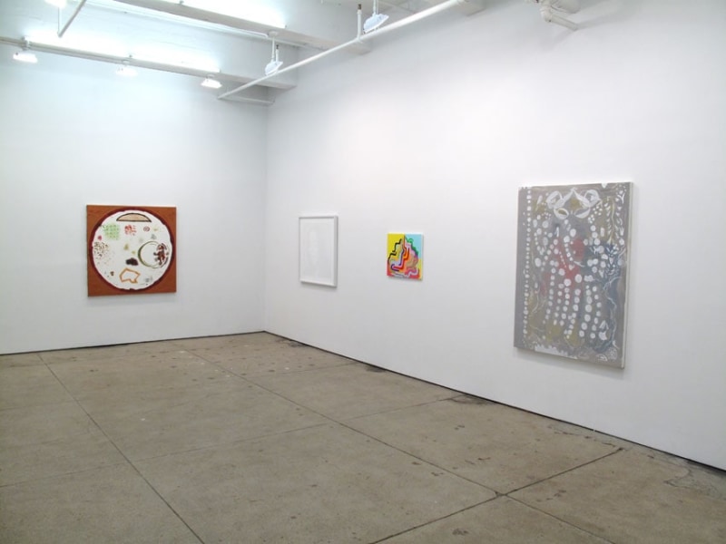 Installation view Friedrich Petzel Gallery 