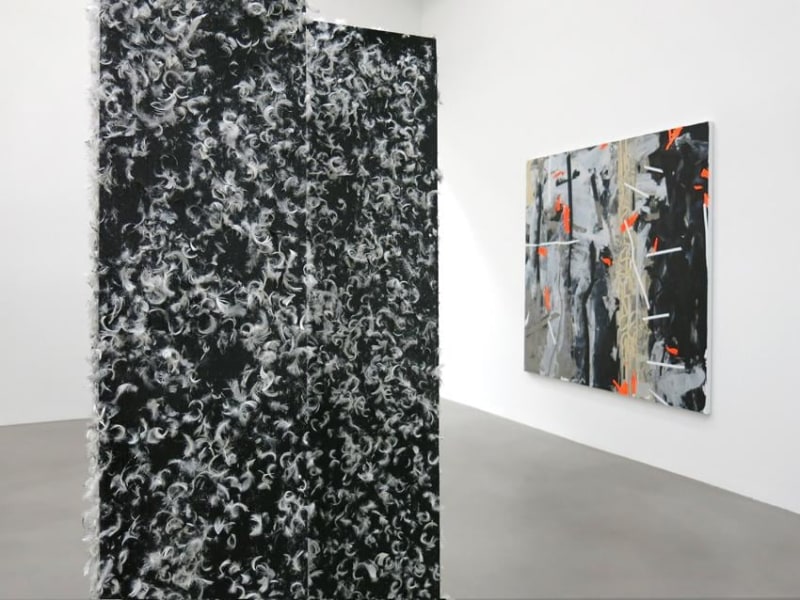 Heimo Zobernig Installation view 19