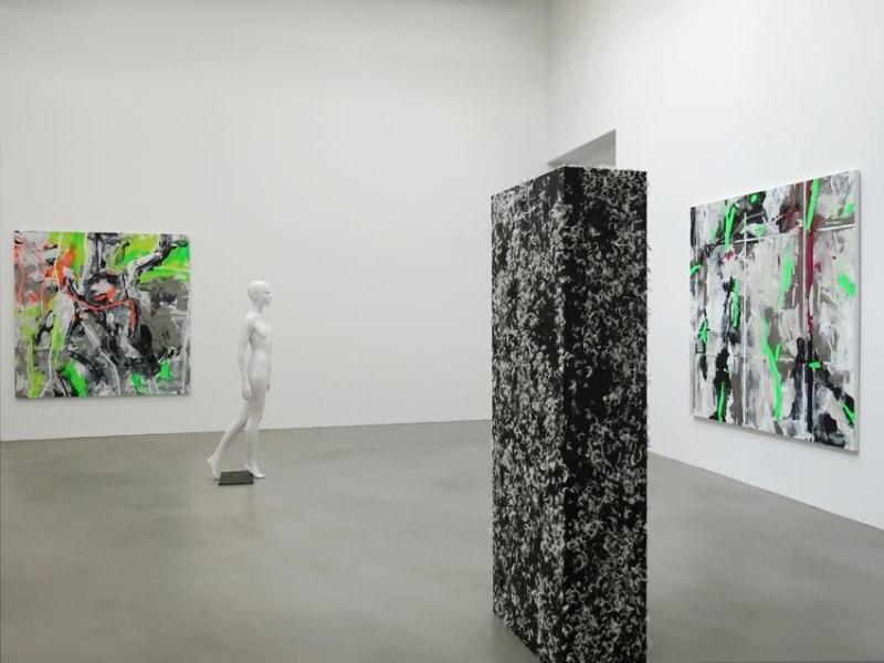 Heimo Zobernig Installation view 16