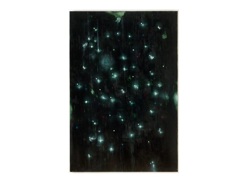 Ross Bleckner, Knights not Nights