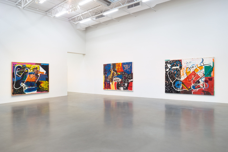 Installation view, Joe Bradley, Bhoga Marga, Petzel, 2022