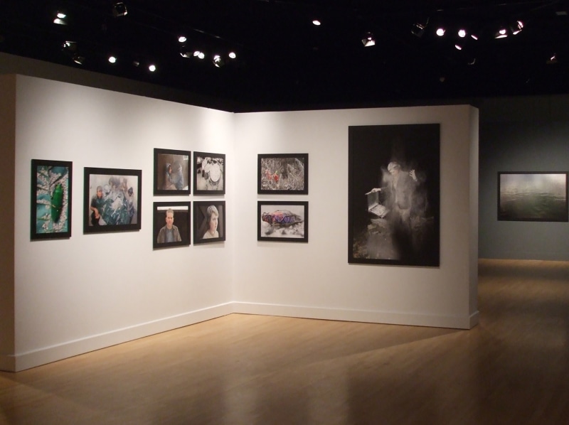 Installation view, Experiments in Primitive Living, Center for Art Design and Visual Culture at the University of Maryland, Baltimore, 2010