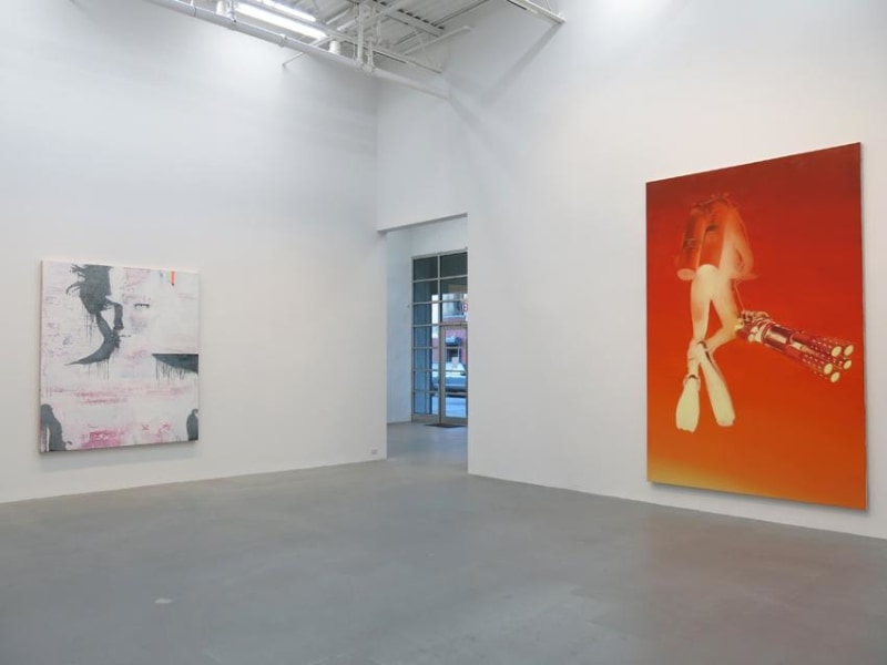 Dirk Skreber Installation view 8