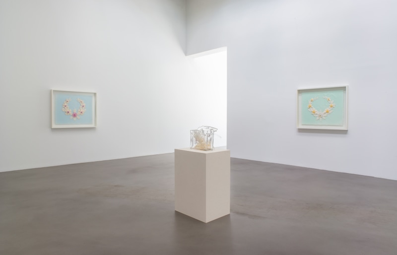 Regeneratrix,&nbsp;Petzel Gallery, 2015, Installation view