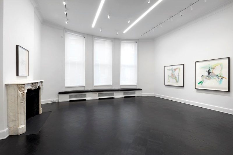 Works on Paper, Installation view