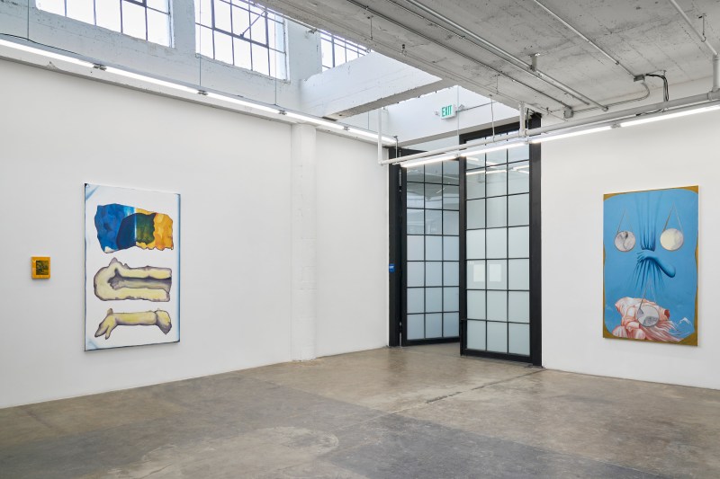 Titania Seidl: eyes never quite catching Installation View