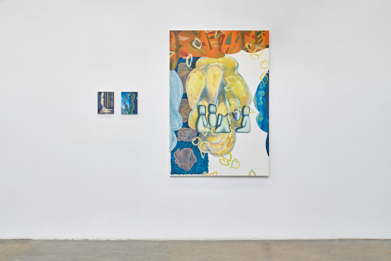 Titania Seidl: eyes never quite catching Installation View