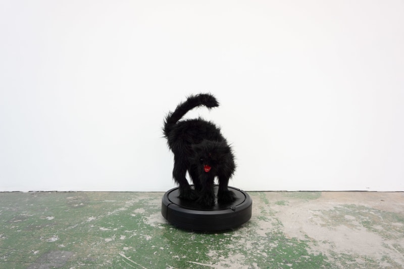 Mattia Biagi Lugosi 2019 Sculpture Nicodim Gallery Los Angeles Cat Roomba