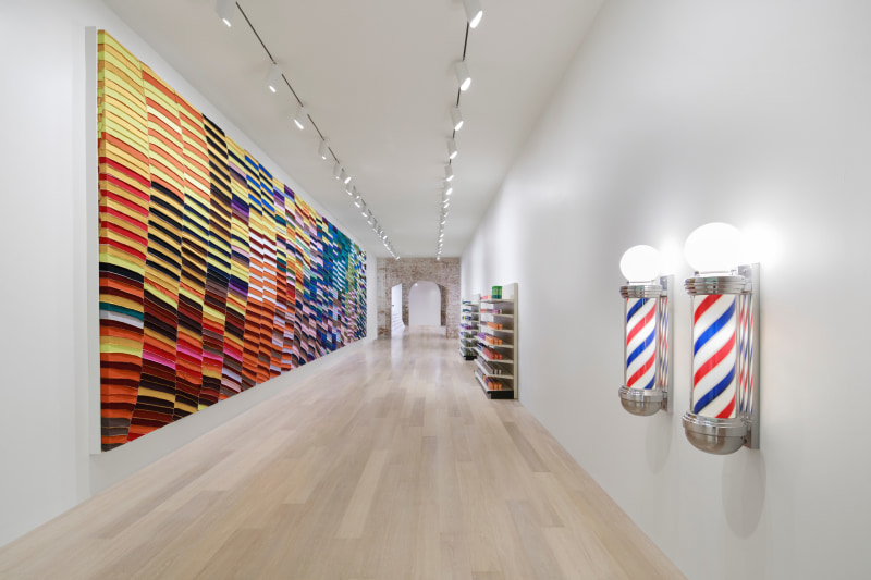 Anthony Olubunmi Akinbola: Good Hair, installation view, SCAD Museum of Art. Photo courtesy of SCAD.