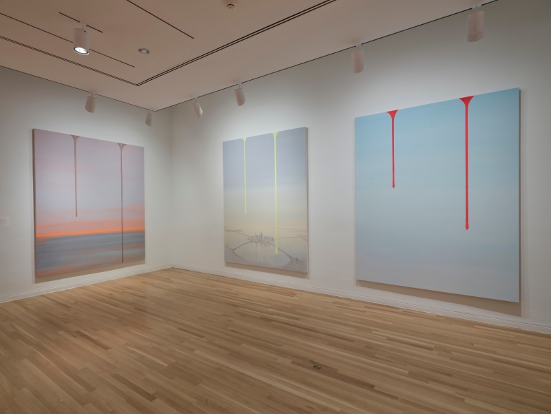 Wanda Koop, Dreamline, installation view at Dallas Museum of Art, 2019-2020.