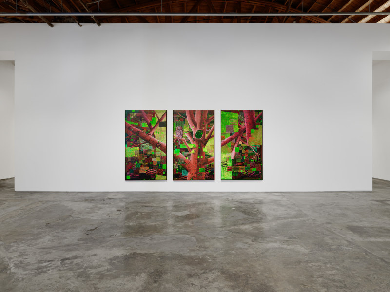 Ross Caliendo, &quot;Peace Fellow&quot;, installation view, 2025