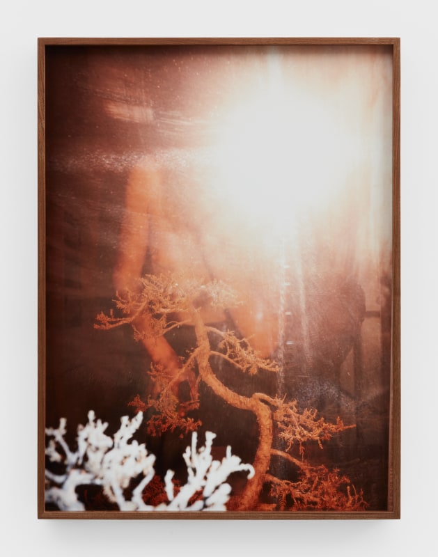 Melanie Schiff, &quot;In Peach&quot;, 2022, pigment print, 32 x 24 in (81.3 x 61 cm)