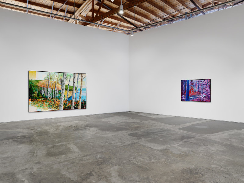 Ross Caliendo, Peace Fellow, installation view, 2025