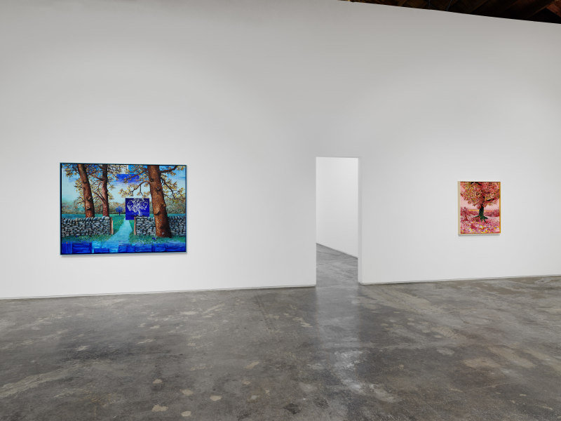 Ross Caliendo, &quot;Peace Fellow&quot;, installation view, 2025