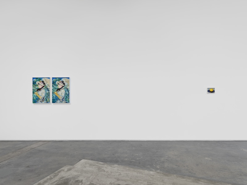 Cynthia Daignault, &quot;The Lemon&quot;, installation view, 2024