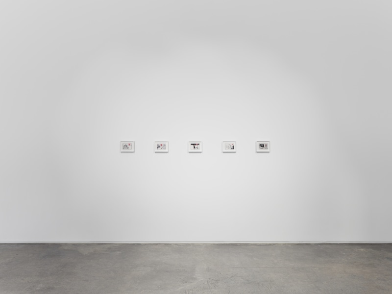 Divya Mehra, &quot;The End of You&quot;, installation view, 2024