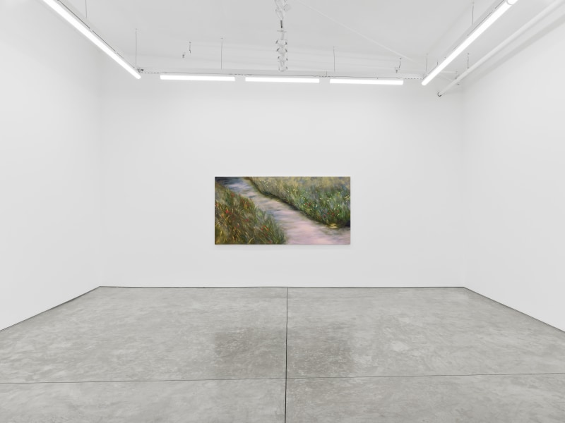 Coco Young, Passage, installation view, 2024