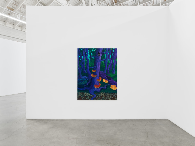 Shrubs, installation view, Night Gallery, 2022