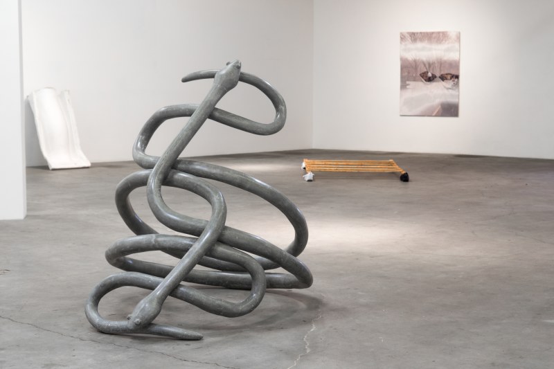 Kathleen Ryan, &quot;More is More Snake Ring,&quot; installation view in ck1 daily, 2014.