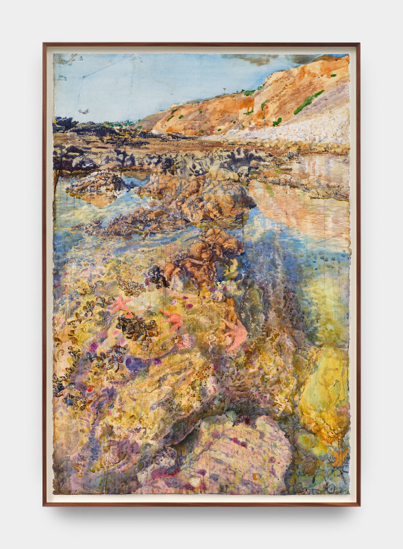 Sterling Wells, &quot;Sea Star Wasting Syndrome, Vista Point Tide Pools Palos Verdes Peninsula&quot;, 2025, watercolor on paper, 60 x 40 in (152.4 x 101.6 cm)