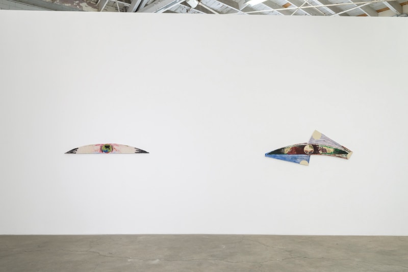 Augustus Thompson, &quot;waxwing,&quot; installation view, 2016