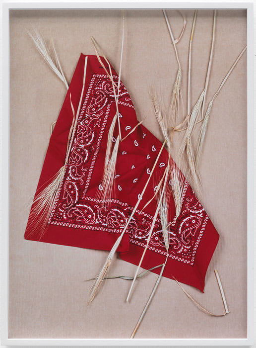 Annette Kelm, &quot;Paisley and Wheat Red,&quot; 2013