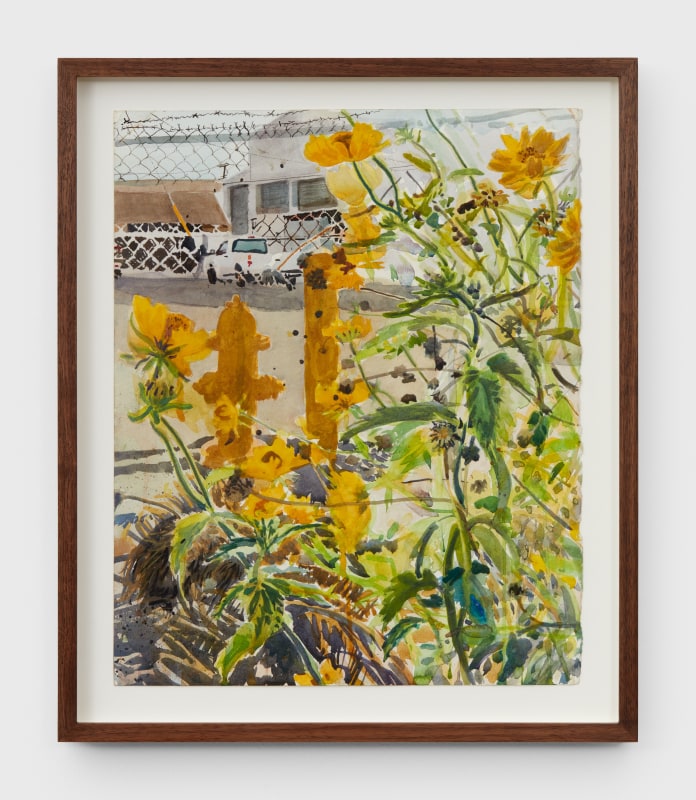 Sterling Wells, &quot;Desert Marigolds (Vernon, CA),&quot; 2022, watercolor on paper, 15 1/4 x 12 1/4 in (38.7 x 31.1 cm)