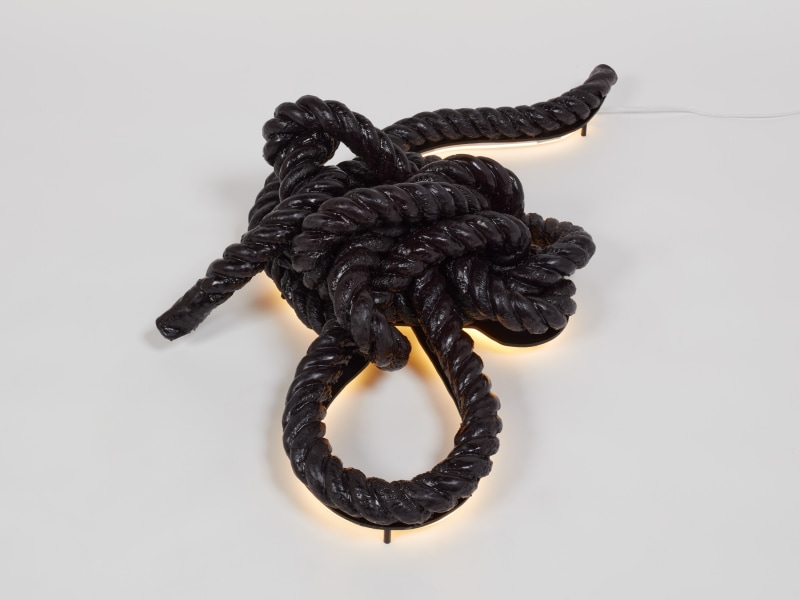 Carla Edwards, &quot;Tight Under Skin&quot;, 2022, rope, encaustic wax, pigment, damar resin, aluminum, flexible neon, 12 x 48 x 30 in (30.5 x 116.8 x 61 cm)