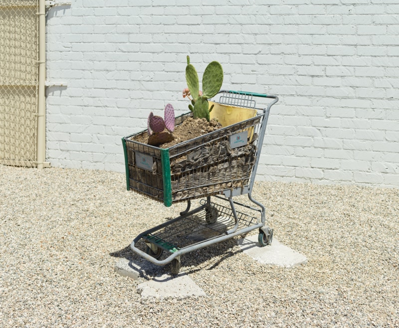 JPW3, &quot;99 Ranch Market&quot;, 2020,&nbsp;dirt, Prickly pear, Peanut cactus in coconut shell, foam, canvas, wire, shopping cart, 88 x 28 x 46 in (223.5 x 71.1 x 116.8 cm)