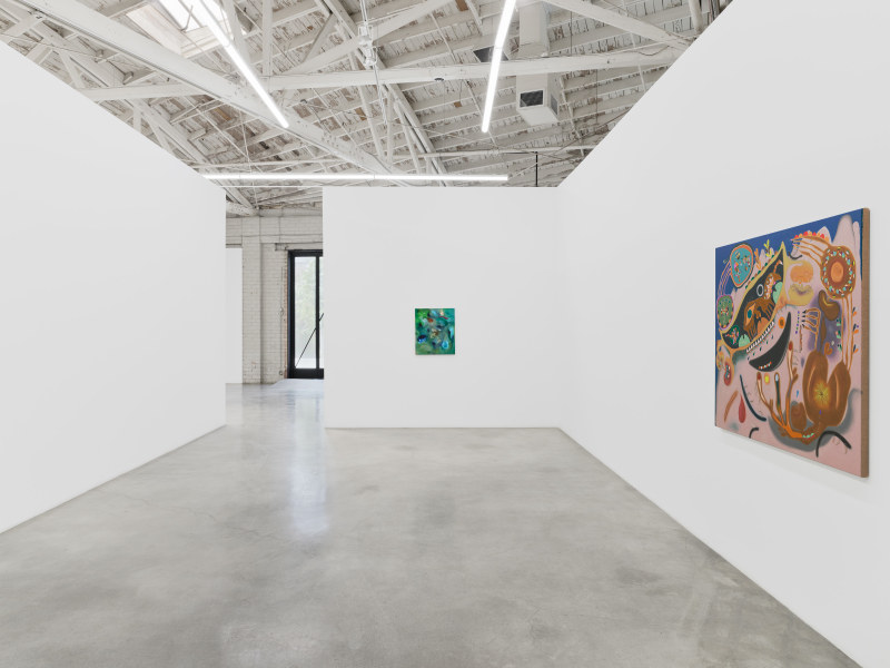 Nasim Hantehzadeh, &quot;Tickles, Dance, and Goosebump Blooms&quot;, installation view, 2025
