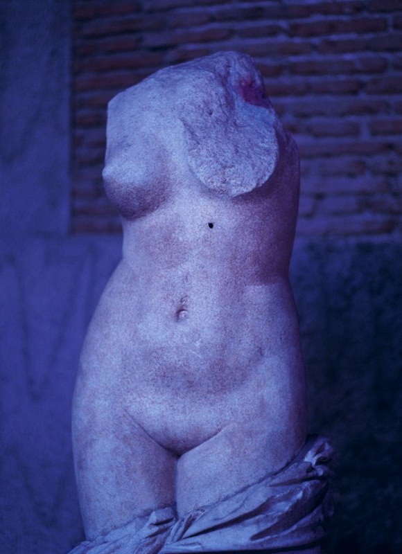 Sara VanDerBeek, &quot;Naples Nude,&quot; 2013