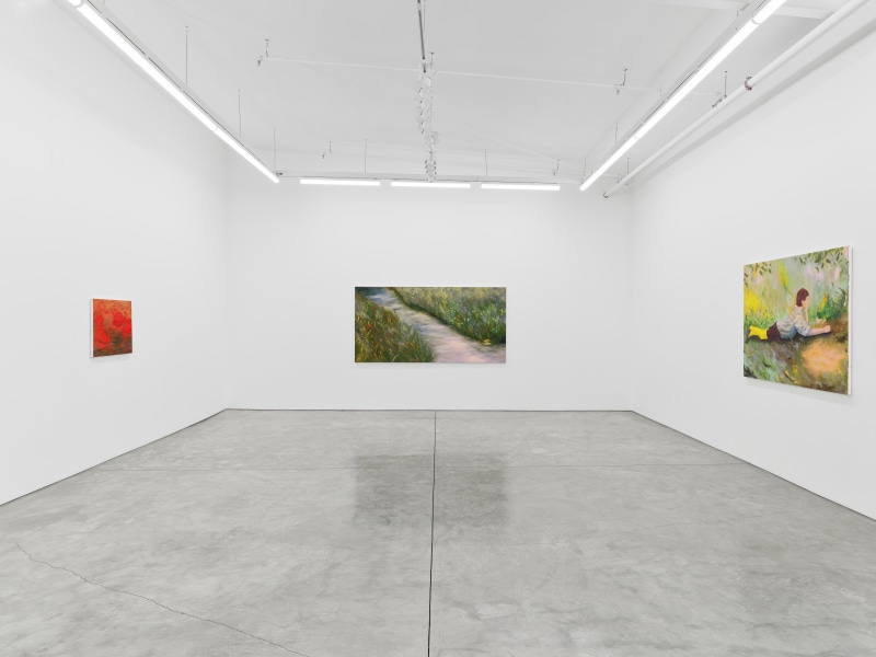 Coco Young, Passage, installation view, 2024