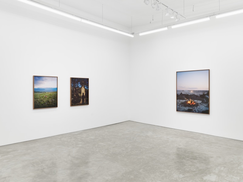 Elise Rasmussen, &quot;the beautiful&quot;, installation view, 2024