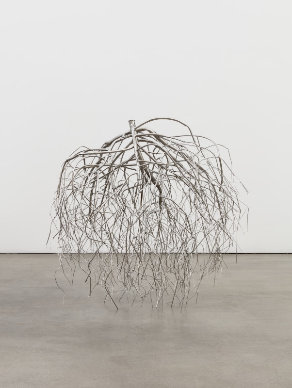 Josh Callaghan, &quot;Tumble Weed,&quot; 2021