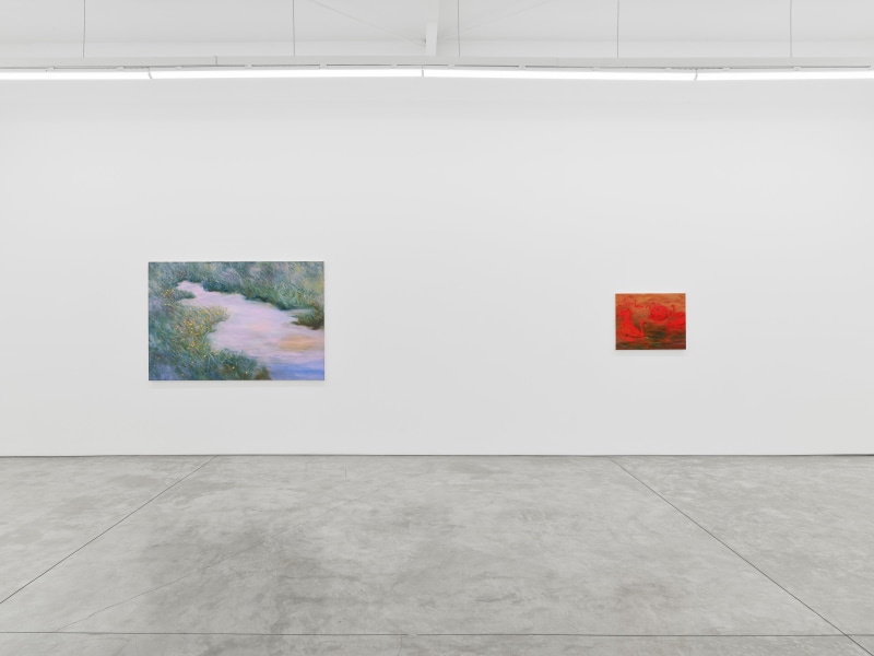 Coco Young, Passage, installation view, 2024