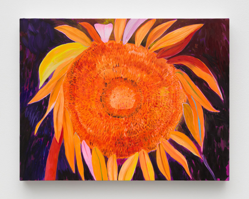 Paul Heyer,&nbsp;&quot;Orange Sunflower 1&quot;, 2023, oil and acrylic on polyester, 14 x 18 in (35.6 x 45.7 cm)