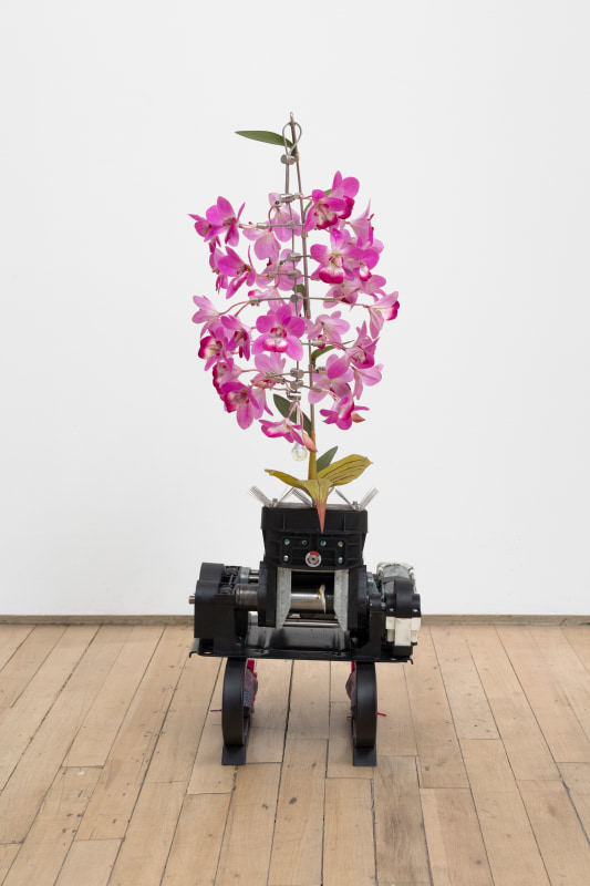 Rachel Youn, &quot;Quench&quot;, 2025, riding exercise simulator, bird spikes, artificial flowers, wire rope, monitor riser stand, hardware, glass, mica pigment, doll roller skates , 33 x 13 x 19 in (83.8 x 33 x 48.3 cm)
