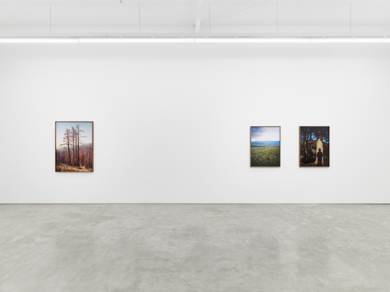 Elise Rasmussen, &quot;the beautiful&quot;, installation view, 2024