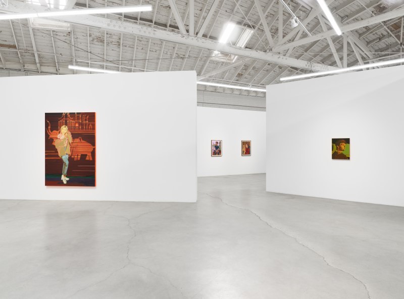 The Pull of the Sun, installation view, Night Gallery, 2020