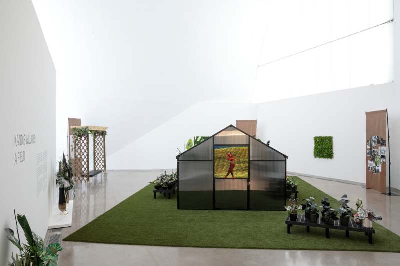 A Field, installation view, Institute For Contemporary Art at Virginia Commonwealth University, Richmond, VA, 2020. Photo by David Hale.