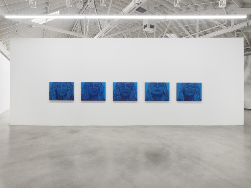 Amy Adler, Audition, installation view, 2023