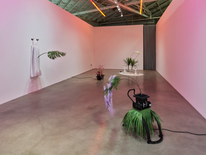 Well Adjusted, installation view, 2023