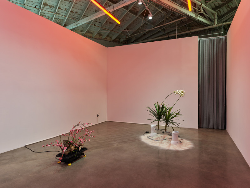 Rachel Youn, Well Adjusted, installation view, 2023